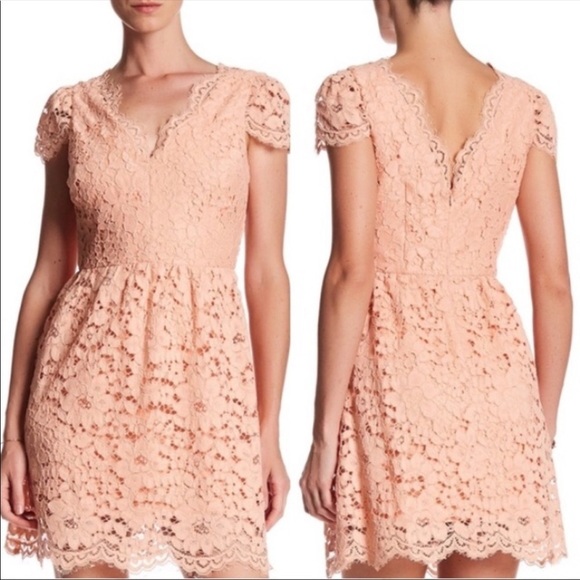 NWOT Erin Fetherston Alicia Lace Fit and Flare Dress Size 0 - Picture 1 of 15